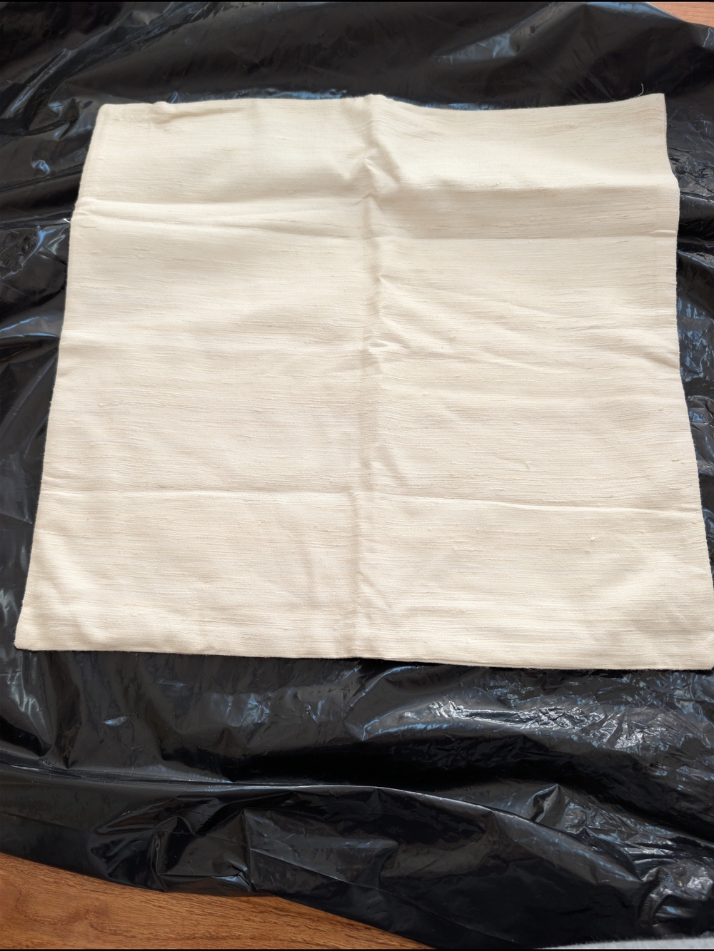 Quince 100% Raw Silk Pillow Cover Ivory 20x20 NWOT